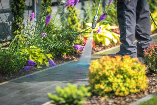 Professional Pressure Washing in Lakeland, FL